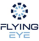 Logo Flying Eye