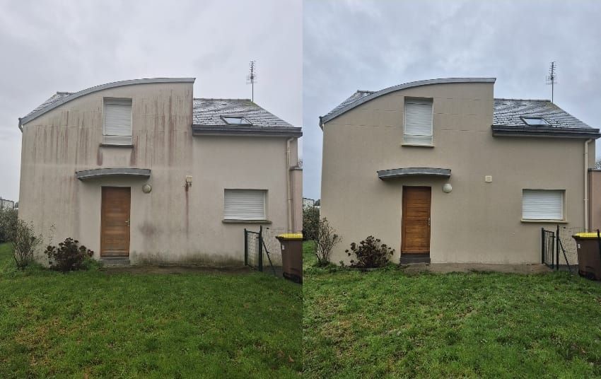 Démoussage de toiture : pourquoi ne pas attendre pour traiter les mousses et les façades encrassées ?